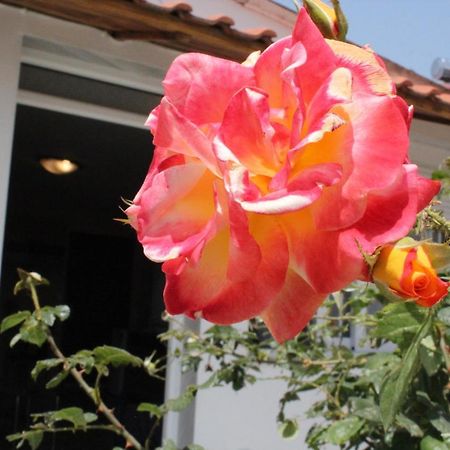 Holiday Kavála Ngoại thất bức ảnh